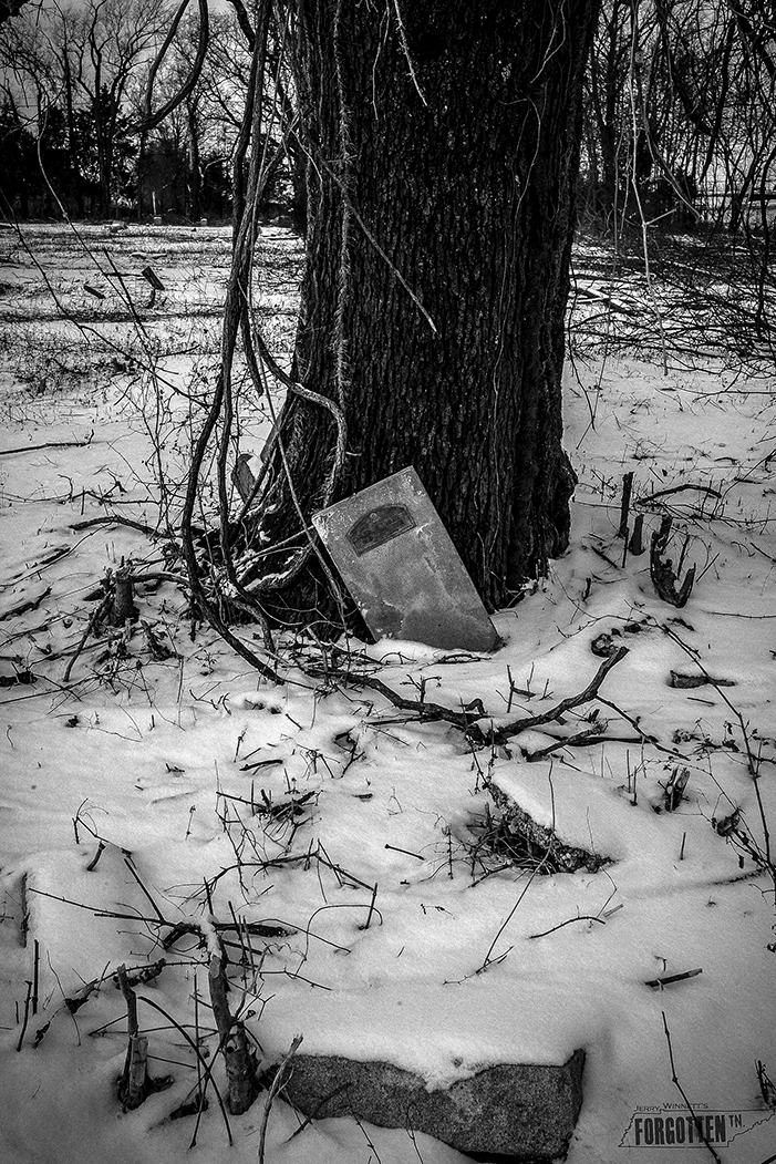 snowday_021-Edit copy