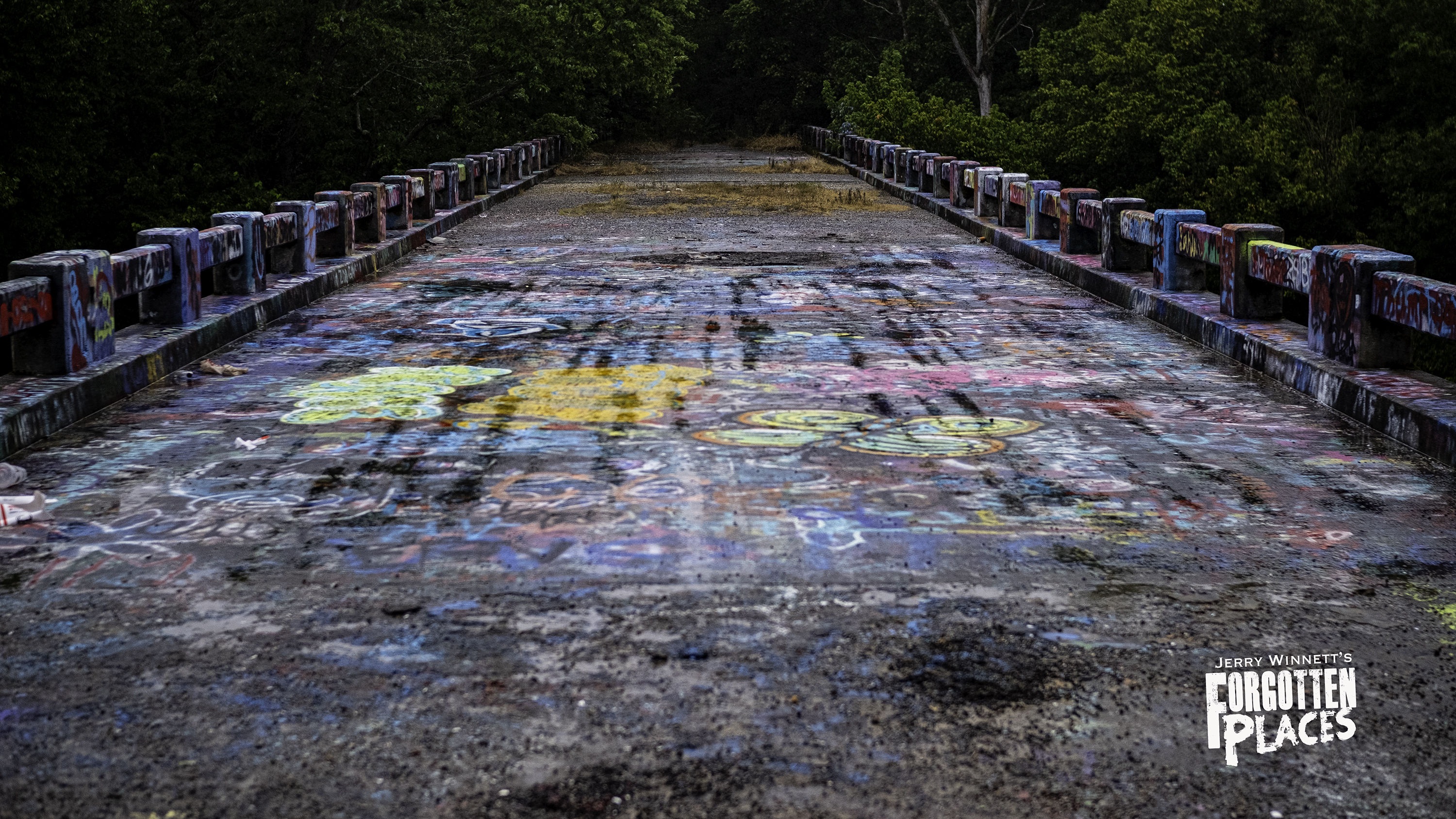 The Graffiti Bridge | Forgotten Tennessee